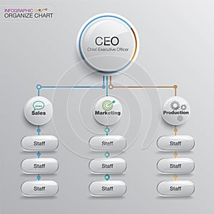 Organize chart infographic design