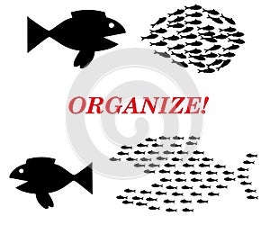 Organize concept