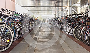 Organized bicycle parking in Amsterdam city centre