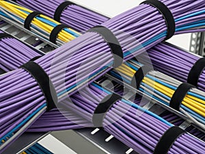 Organized network cables in patch panel