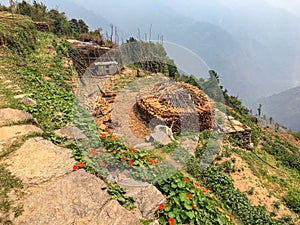 Organized pile of wood in the Himalayas, on the Annapurna Circuit