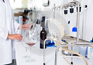 Organoleptic characteristic for wine in laboratory of wunery of spain