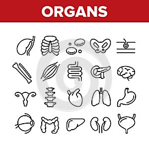 Organs Anatomical Collection Icons Set Vector