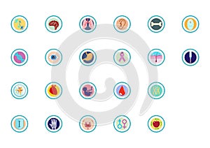 Organs and body icons and infographics