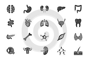 Organs line icons. Vector illustration include icon - muscle, liver, stomach, kidney, urinary, eyeball, bone, lung