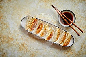 Orginal asian dumplings gyoza served in long plate