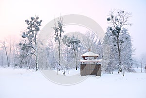Oriental arbour covered in deep snow and tall trees photo