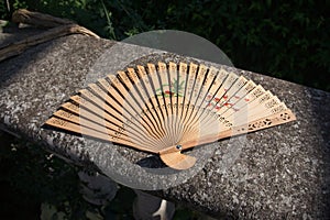 Oriental carved wood hand fan