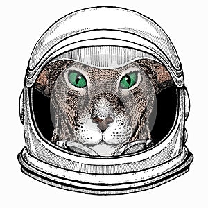 Oriental cat. Astronaut animal. Vector portrait. Cosmos and Spaceman. Space illustration about travel to the moon. Funny