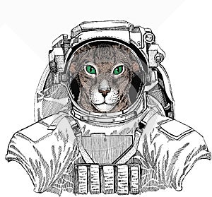 Oriental cat. Wild astronaut animal in spacesuit. Deep space. Galaxy.