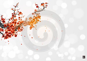 Oriental cherry blossom branch and falling sakura petals. Traditional oriental ink painting sumi-e, u-sin, go-hua on