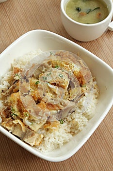 Oriental Delicacy - Chicken Katsu Don