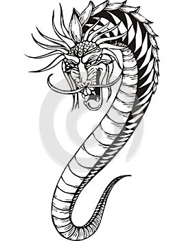 Oriental dragon worm