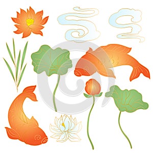 Oriental fish and lotus set. Chinese and japanese traditional illustration.