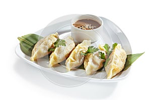 Oriental Fried Dim Sum, Gyoza, Dim Sum or Jiaozi Isolated