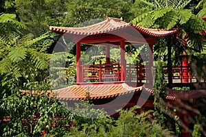 Oriental garden, Madeira