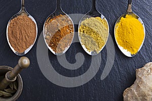 Oriental indian spices curry paprika nutmeg on slate