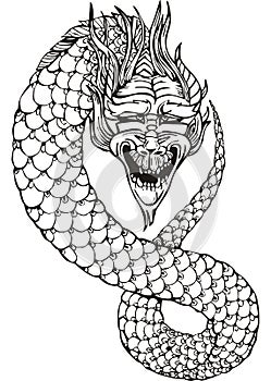 Oriental legless dragon