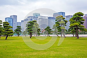 Oriental park in Tokyo