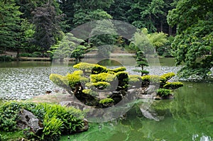 Oriental park with wunderful trees