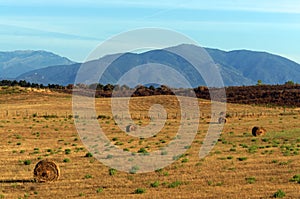 oriental plain of Corsica