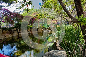 Oriental pond in japanese neighborhood freedom garden photo