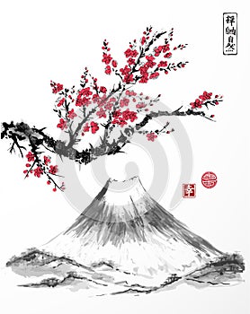 Oriental sakura cherry tree in blossom and Fujiyama mountain on white background. Contains hieroglyphs - zen, freedom