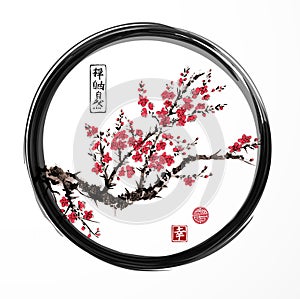 Oriental sakura cherry tree blossoming in black enso zen circle on white background. Contains hieroglyphs - zen, freedom photo