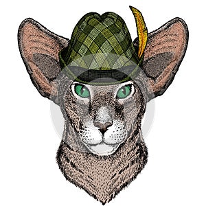 Oriental shorthair cat head. Austrian bavarian tirol hat. Beer festival. Oktoberfest.