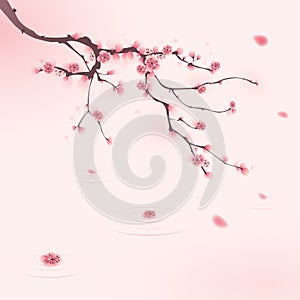 Orientální styl malování třešeň květ na jaře 