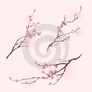 Oriental style painting, cherry blossom in spring