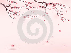 Oriental style painting, cherry blossom in spring