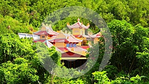 Oriental Temple Building Rooftop Among Tropical Vegetation HD Footage