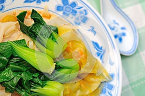 Oriental wanton dumplings with healthy vegetables