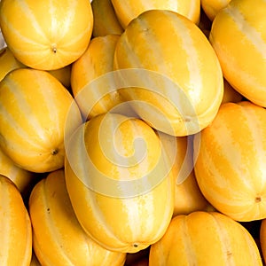 Oriental yellow small striped melons, in Korea known as chamoe. Organic, vegetarian, healthy, fruit food