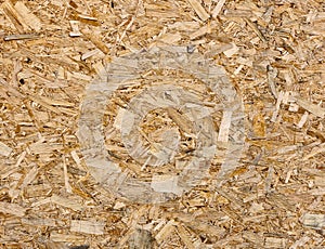 Oriented strand board (OSB) texture photo