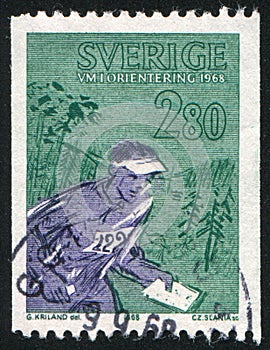 Orienteer Finding Way through Forest