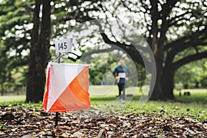 Orienteering box outdoor in a forest