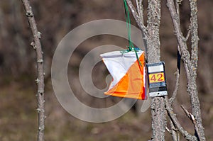 Orienteering. Check point Prism and electronic composter for orienteering close-up. Navigation equipment. The concept