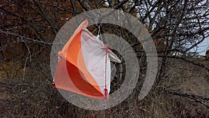 Orienteering checkpoint in forest