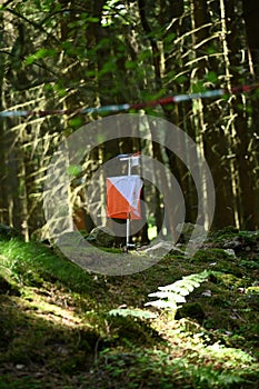 Orienteering Control Flag in Forest Setting