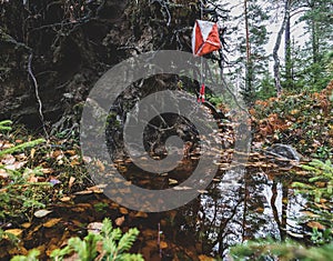 An orienteering control in forest hanging above a water puddle