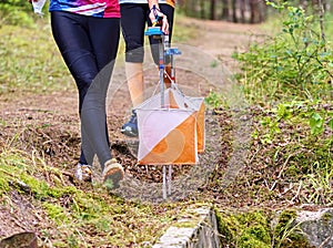 Orienteering training in forest parkland. Outdoor orienteering