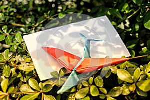 Origami airplane on a green leaf background. Nature. Space for text.