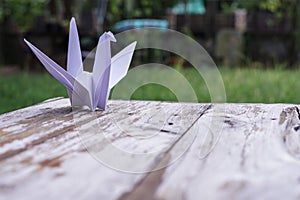 The origami bird is believed to be a sacred bird and a symbol of longevity.