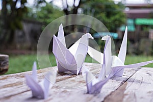 The origami bird is believed to be a sacred bird and a symbol of longevity.