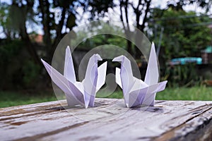 The origami bird is believed to be a sacred bird and a symbol of longevity.