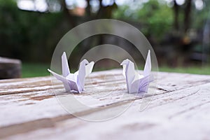 The origami bird is believed to be a sacred bird and a symbol of longevity.