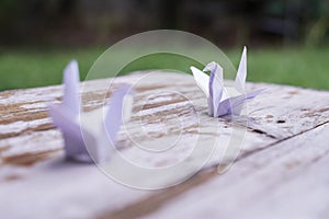 The origami bird is believed to be a sacred bird and a symbol of longevity.