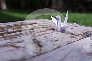 The origami bird is believed to be a sacred bird and a symbol of longevity.